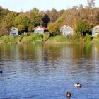 Hariksee