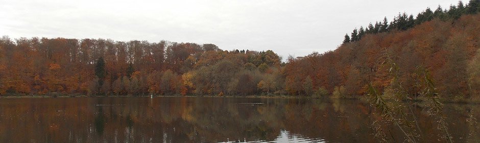 Holzmaar Headmotiv