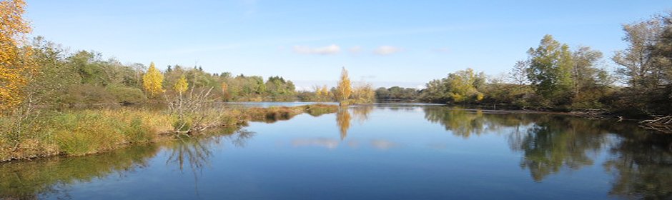 Weitmannsee Headmotiv