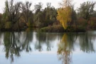 Spiegelung im Weitmannsee