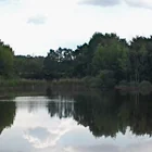 Schönefelder Seen