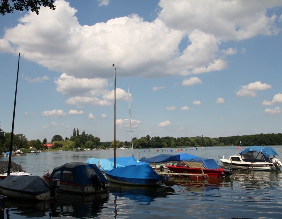 Fotos vom Schwielochsee