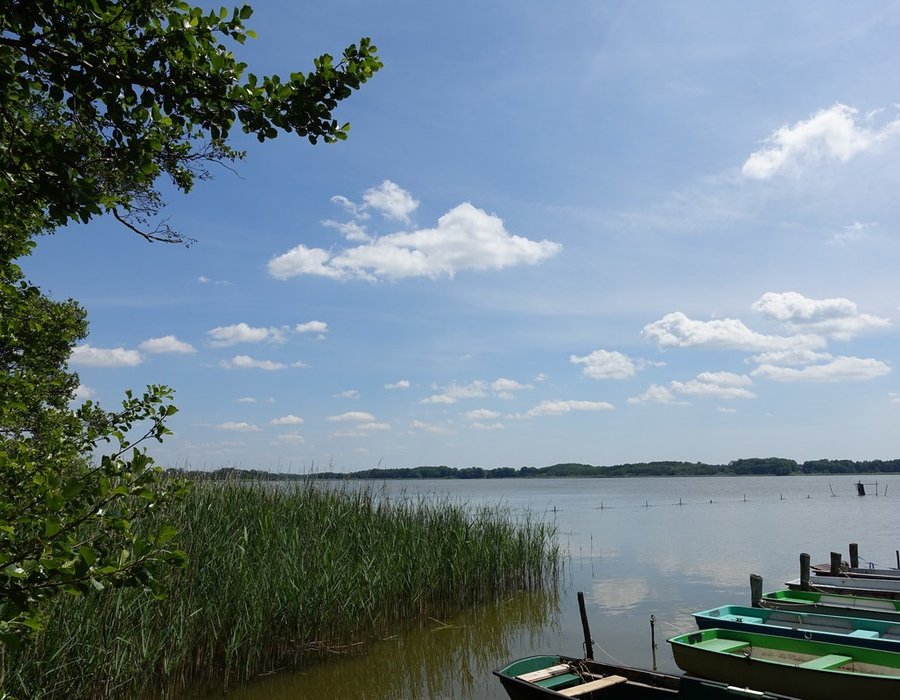 Fotos vom Großer Schauener See Seen.de