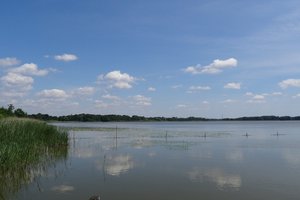 Fotos vom Großer Schauener See