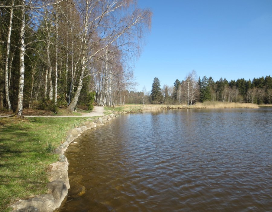 Fotos vom Bayersoiener See