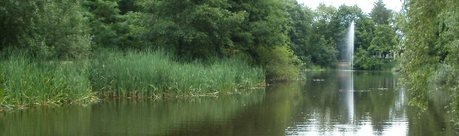 Tabaksmühlenweiher Headmotiv