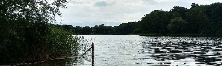 Grunewaldsee Headmotiv