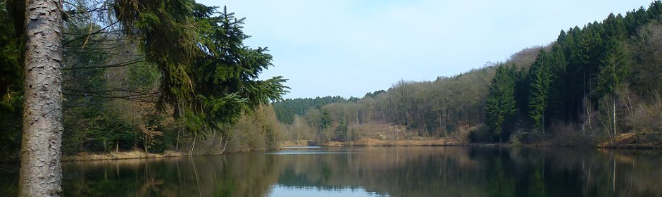 Schevelinger Talsperre Headmotiv