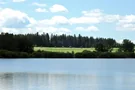 Wald am Kirnbergsee