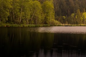 Fotos vom Notzenweiher