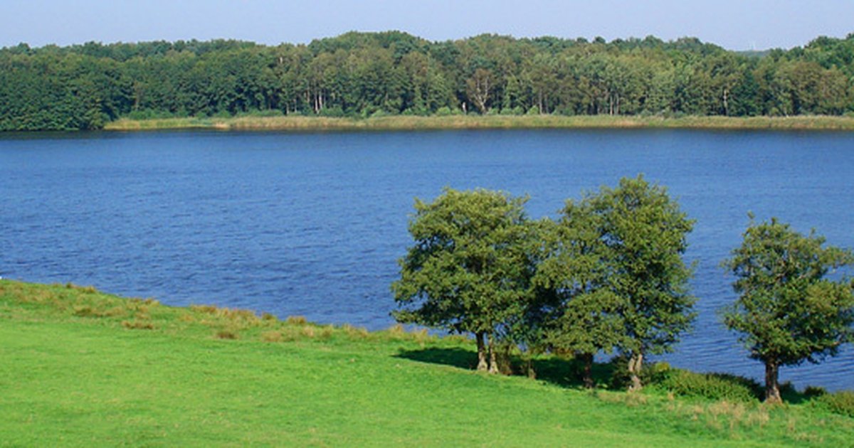 Blankensee
