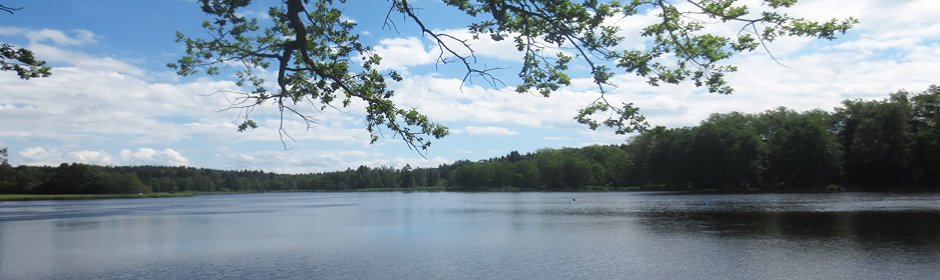 Schnerzhofer Weiher Headmotiv