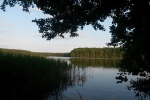 Fotos vom Großer Beutelsee