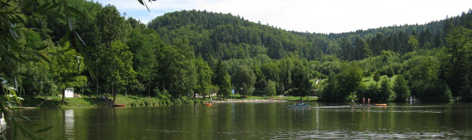 Waldsee Fornsbach Headmotiv