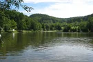 Bäume am Waldsee Fornsbach