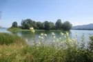 Forggensee Natur