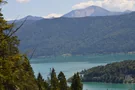 Walchensee Bäume und Berg