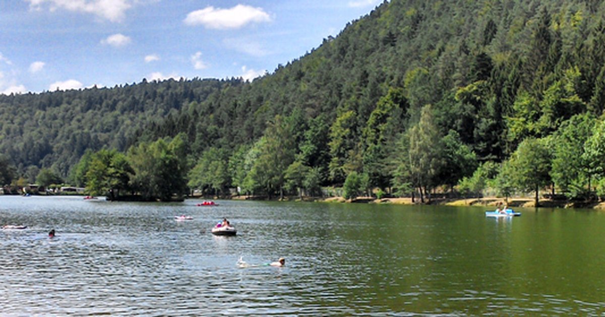 Der Clausensee Informationen von Seen.de