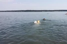 Hundestrand am Helenesee