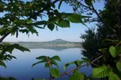 Blick durch die Blätter auf den Berzdorfer See