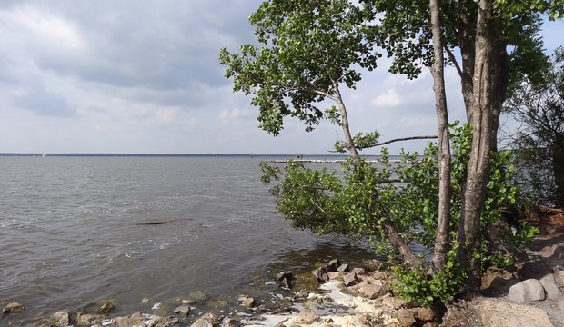 Aussicht auf das Steinhuder Meer Aussicht auf das Steinhuder Meer