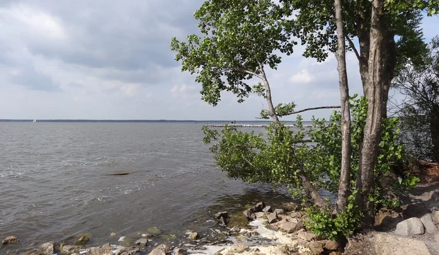 Aussicht auf das Steinhuder Meer