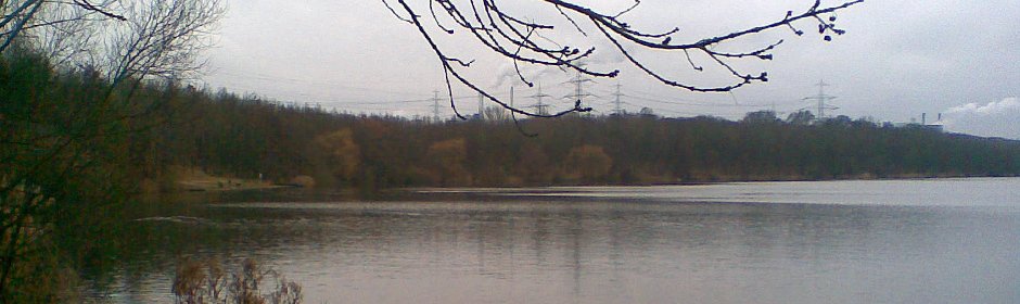 Hürther Waldsee Headmotiv