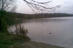 Fotos vom Hürther Waldsee