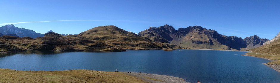 Tannensee Headmotiv