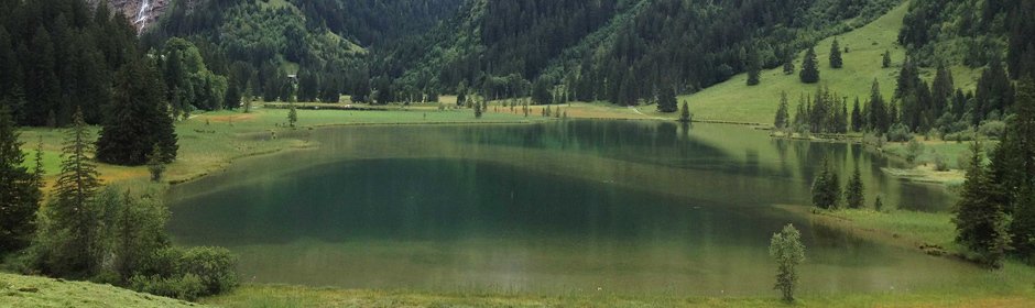 Lauenensee Headmotiv