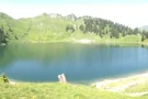 Der gesamte Oberstockensee