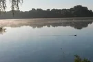 Wasservogel auf dem See im großen Moor