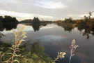 Ausblick auf den Bingstetter See