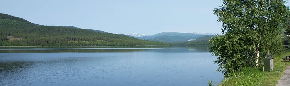 Heggefjorden Headmotiv