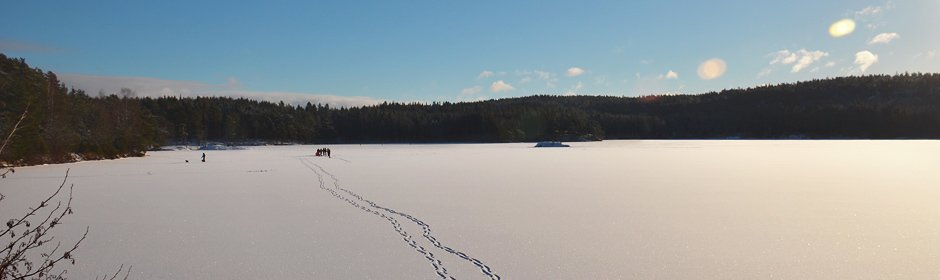 Krusetertjern Headmotiv