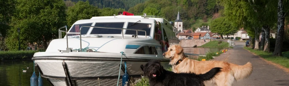 Hausboot-Urlaub mit Hund Headmotiv