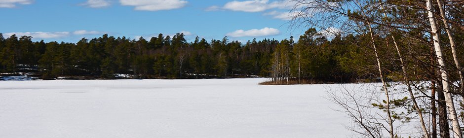 Gallsjön Headmotiv