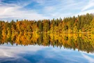 Bunte Bäume spiegeln sich im Hackensee