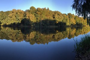 Fotos vom Demenzsee