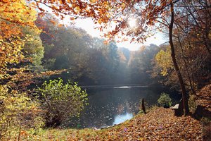 Fotos vom Höllchen