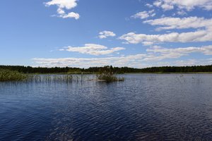 Fotos vom Naturreservat Yttre Bodane