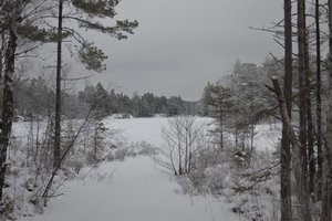 Fotos vom Ragnerudssjön