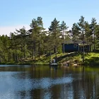 Svingsjön