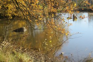 Fotos vom Kleiner Harabruckteich