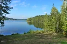 Wälder um den Igelsbachsee