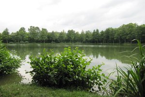 Fotos vom Oberer Seewaldsee