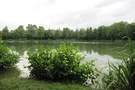 Sonnenschein am Oberen Seewaldsee