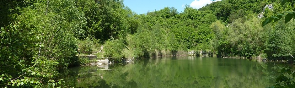 Grüner See Headmotiv