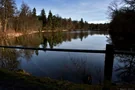 Ruhige Atmosphäre am Pfaffensee