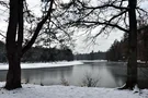 Der Pfaffensee im Winter